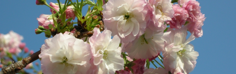 dscn7210.jpg