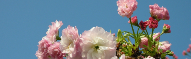 dscn7209.jpg